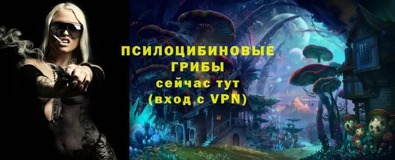 OMG вход  Шарья  Псилоцибиновые грибы Magic Shrooms 